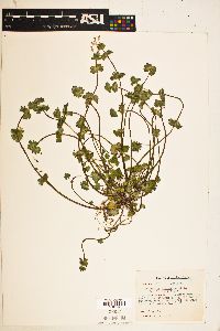 Image Associated With the Occurence