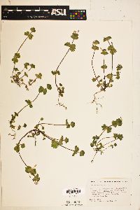 Image Associated With the Occurence