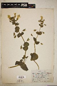 Image Associated With the Occurence