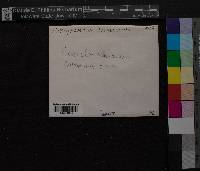 Image Associated With the Occurence