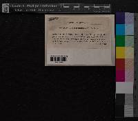 Media resource of Campylopus subulatus