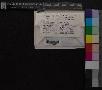 Media resource of Dicranum howellii