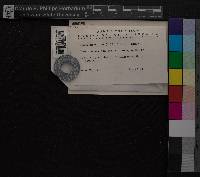 Dicranum viride image
