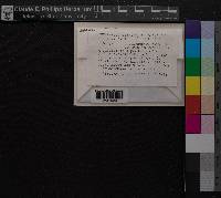 Media resource of Didymodon insulanus