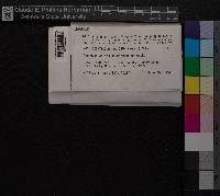 Diphyscium foliosum image