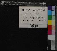 Media resource of Fontinalis flaccida