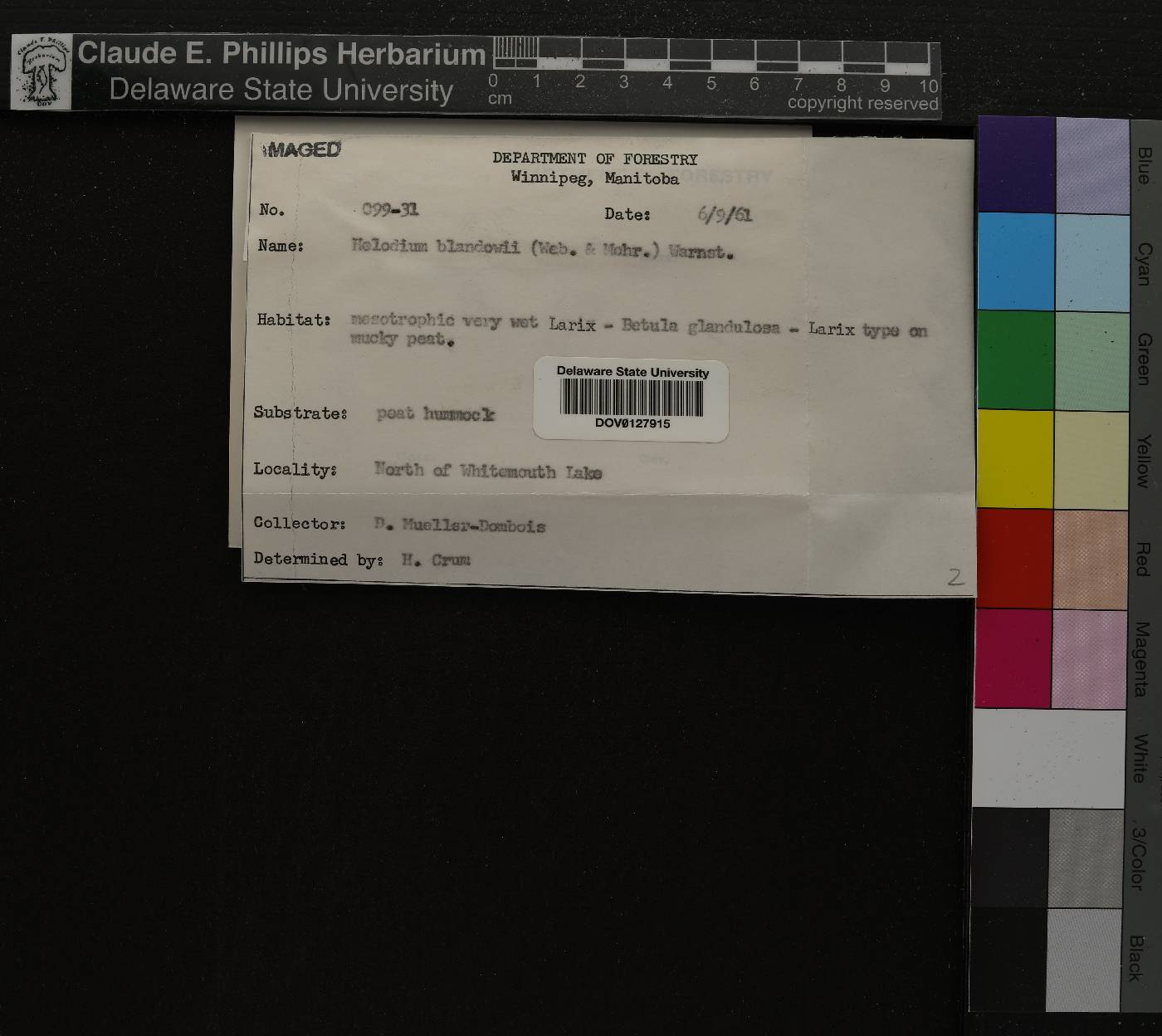 Helodium image