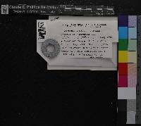Media resource of Scapania americana