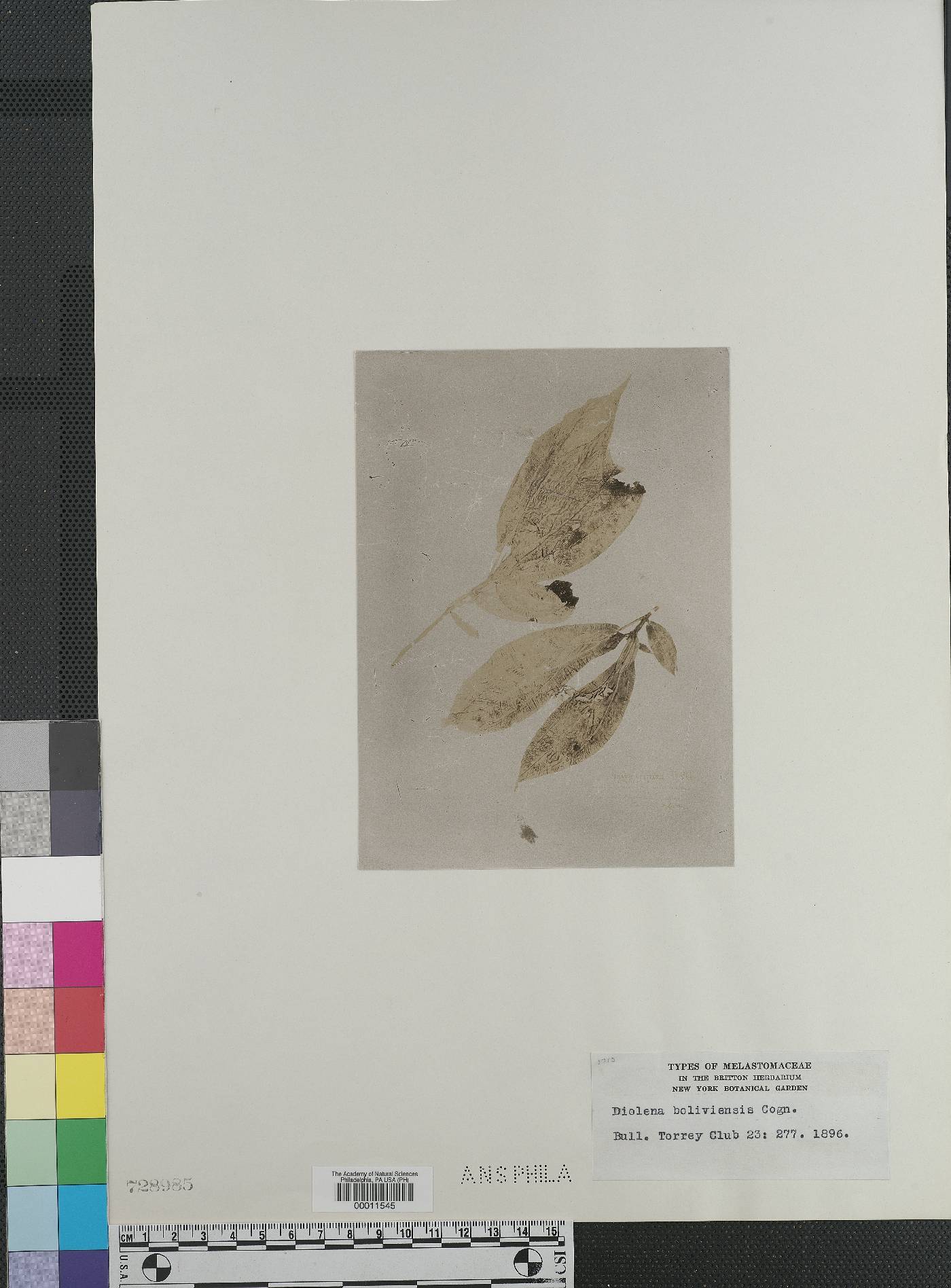 Diolena image