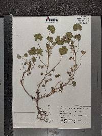 Image Associated With the Occurence