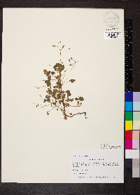 Image Associated With the Occurence
