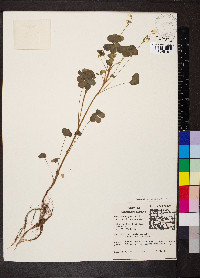 Image Associated With the Occurence