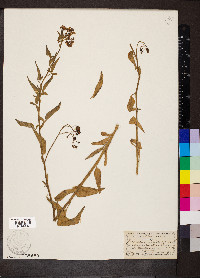 Image Associated With the Occurence