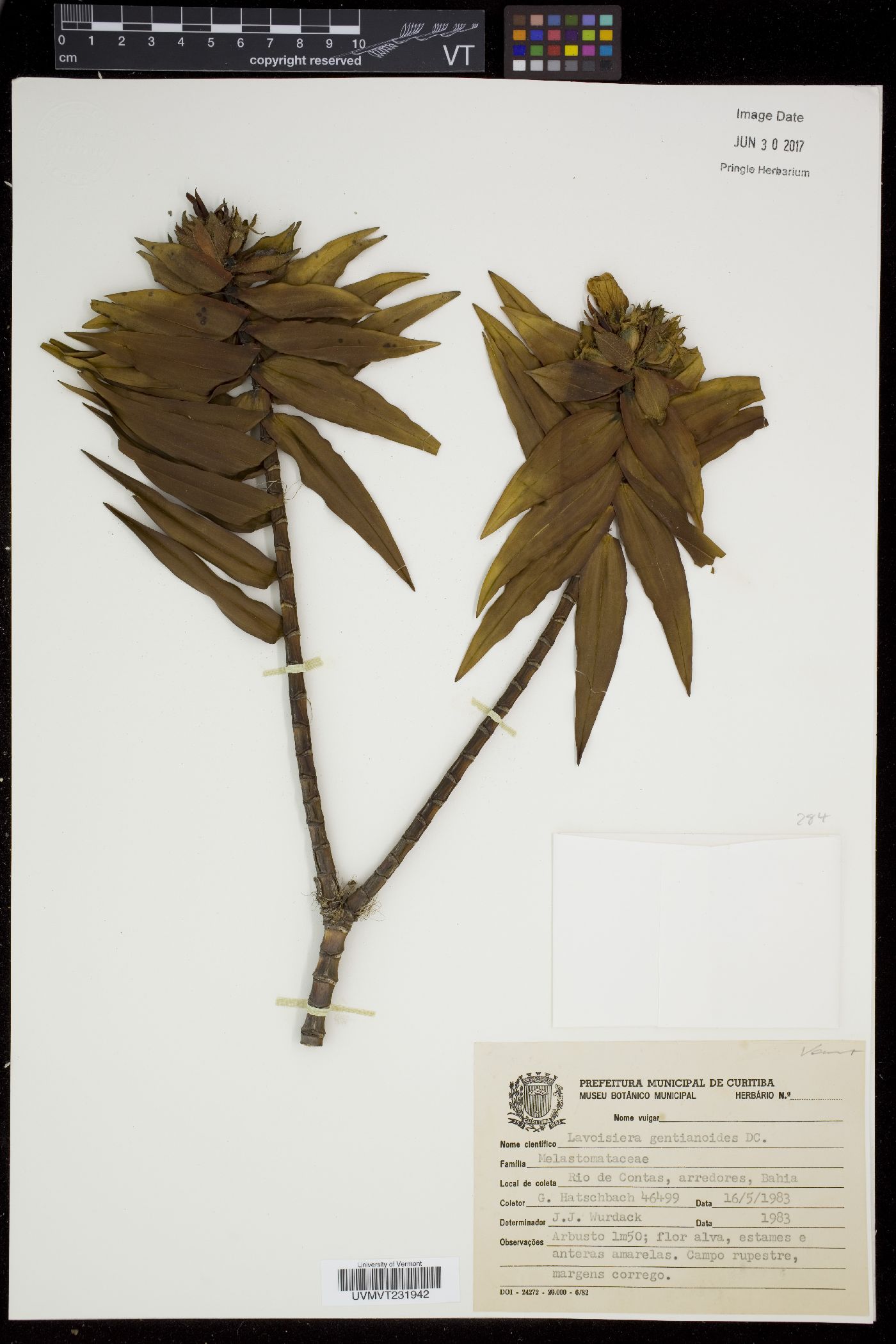 Lavoiseria image