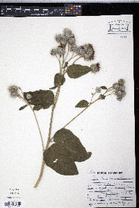 Image Associated With the Occurence
