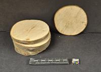 Acer saccharinum image