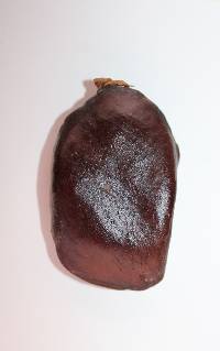 Pentaclethra macrophylla image