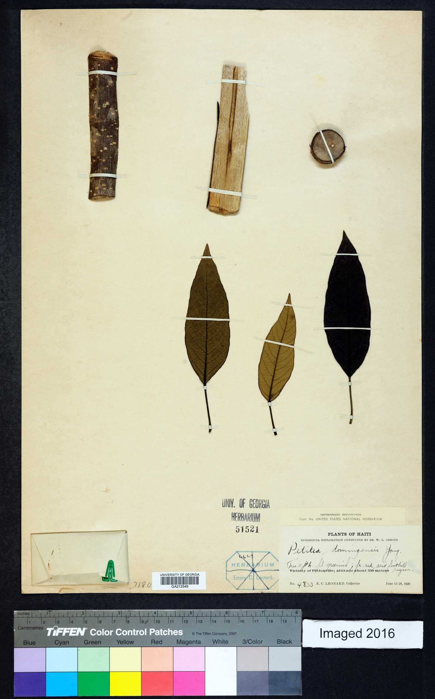 Petitia image