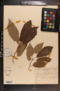Image Associated With the Occurence