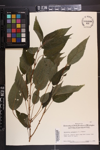 Image Associated With the Occurence