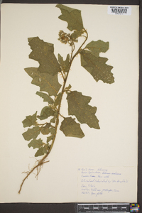 Image Associated With the Occurence