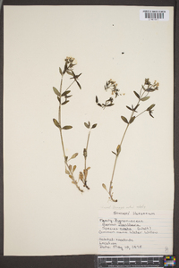 Image Associated With the Occurence