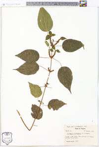 Image Associated With the Occurence