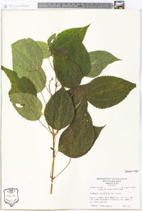 Image Associated With the Occurence