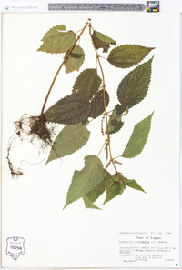 Image Associated With the Occurence