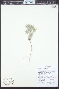 Nama retrorsum image