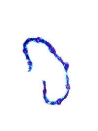 Poa reflexa image
