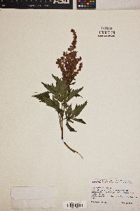 Image Associated With the Occurence