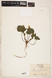 Image Associated With the Occurence