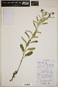 Image Associated With the Occurence