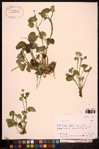 Image Associated With the Occurence