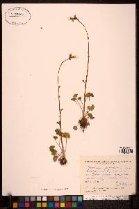 Image Associated With the Occurence