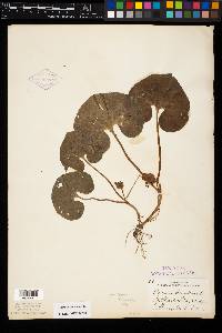 Image Associated With the Occurence
