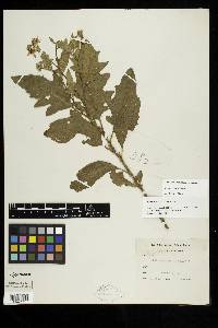 Image Associated With the Occurence