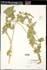 Image Associated With the Occurence