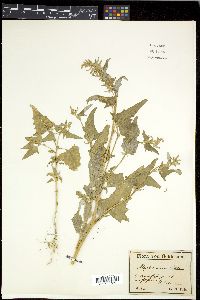 Image Associated With the Occurence