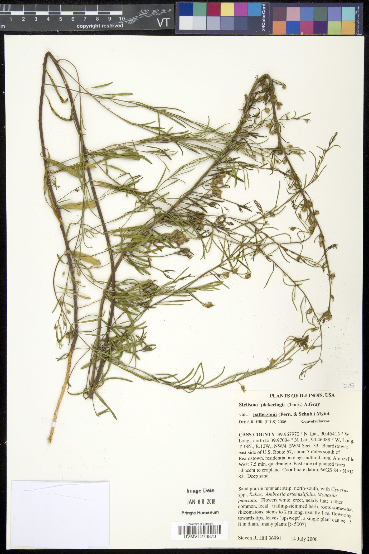 Stylisma image