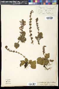 Image Associated With the Occurence