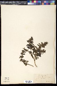 Image Associated With the Occurence