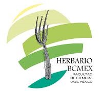 Herbario de la Universidad Autónoma de Baja California (BCMEX)