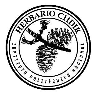 Herbario del Instituto Politécnico Nacional-Unidad Durango (CIIDIR)