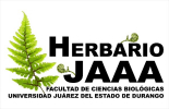 Herbario Jorge Arturo Alba Avila (UJED-JAAA)