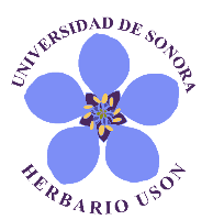 Herbario de la Universidad de Sonora (USON)