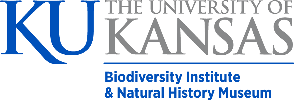 KU BI Logo